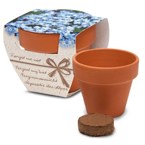 Blomster i lille terrakottakrukke - Bild 5